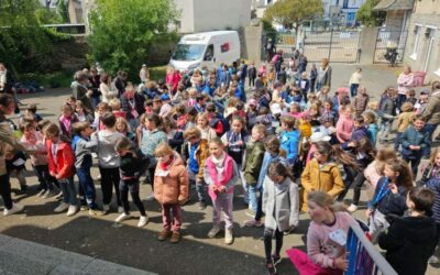 Rencontre de secteur cycle 2