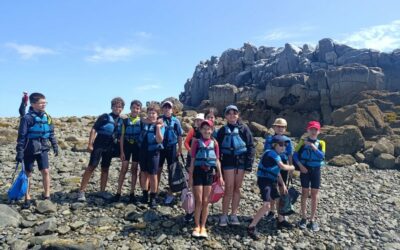 Voile 2026
